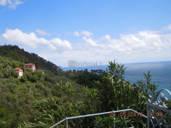 casa indipendente in vendita a Zoagli in zona San Pietro
