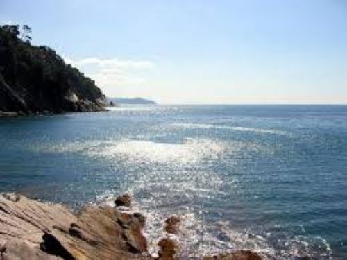 casa indipendente in vendita a Zoagli in zona Sant'Ambrogio