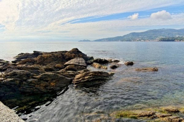 casa indipendente in vendita a Zoagli