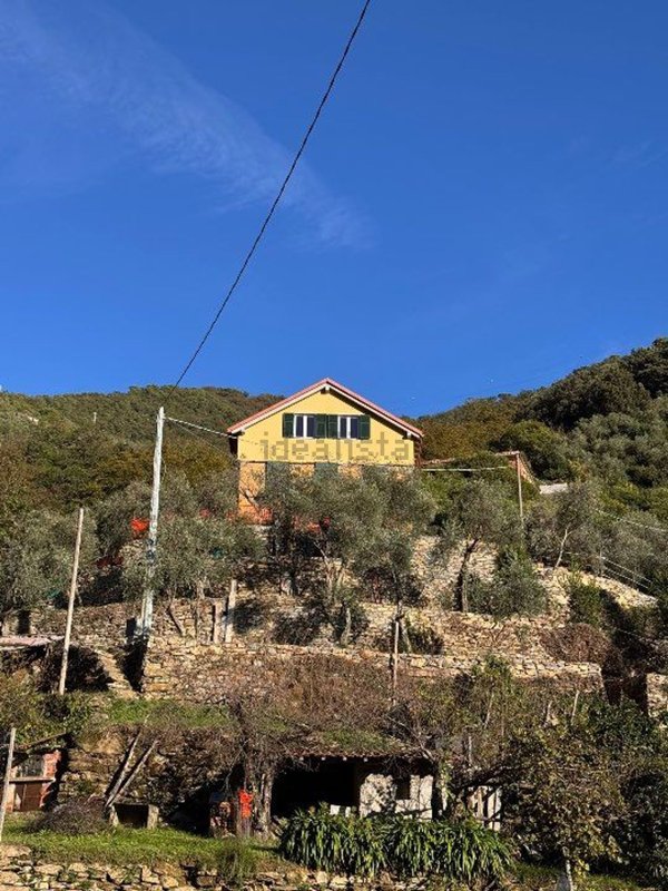 casa indipendente in vendita a Zoagli