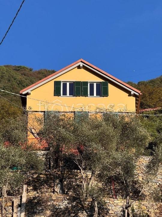 casa indipendente in vendita a Zoagli