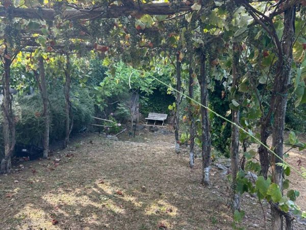 casa indipendente in vendita ad Ameglia in zona Montemarcello