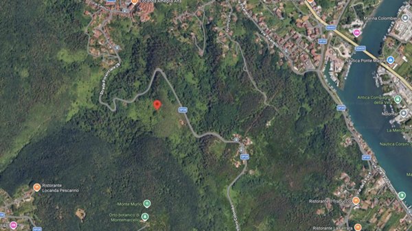 terreno agricolo in vendita ad Ameglia