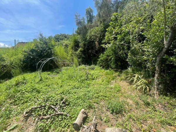 casa indipendente in vendita ad Ameglia