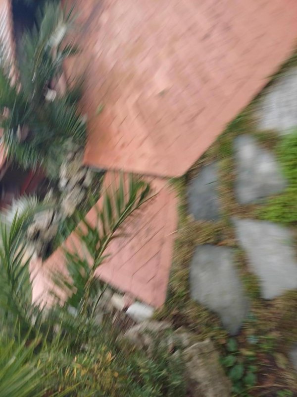 casa indipendente in vendita ad Ameglia
