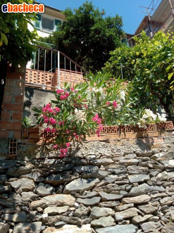 appartamento in vendita ad Ameglia in zona Montemarcello