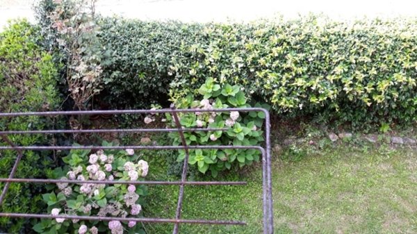 casa indipendente in vendita ad Ameglia in zona Fiumaretta