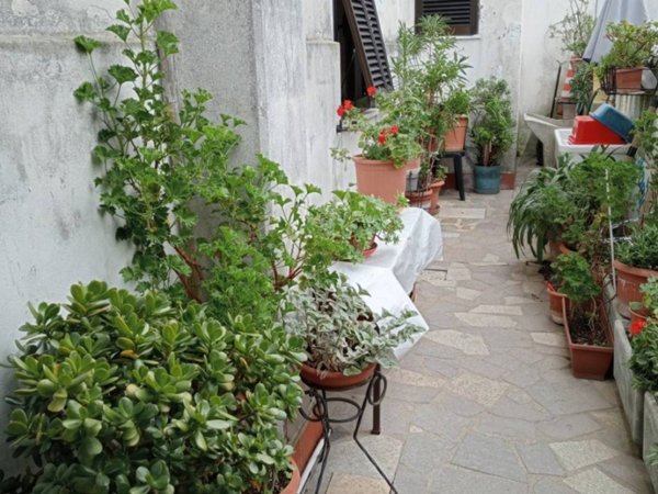 casa indipendente in vendita ad Ameglia in zona Fiumaretta