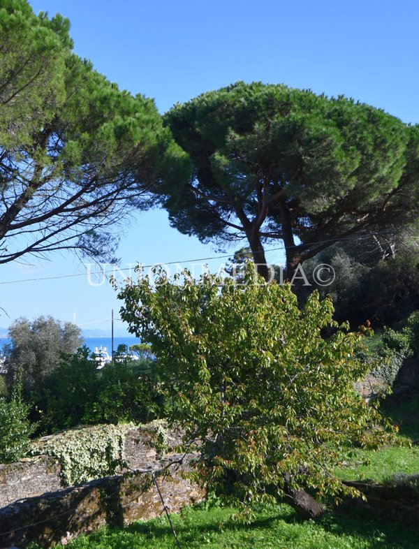 appartamento in vendita ad Ameglia in zona Bocca di Magra