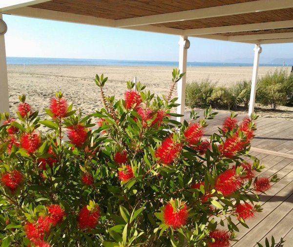 casa indipendente in vendita ad Ameglia in zona Fiumaretta