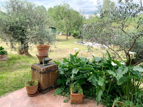 appartamento in vendita ad Ameglia