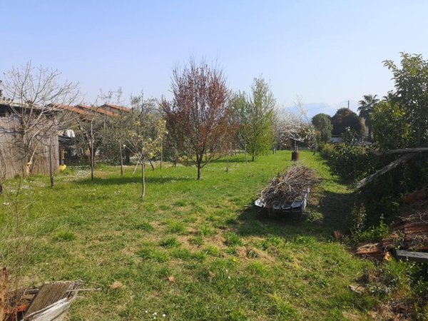 intera palazzina in vendita ad Ameglia in zona Bocca di Magra