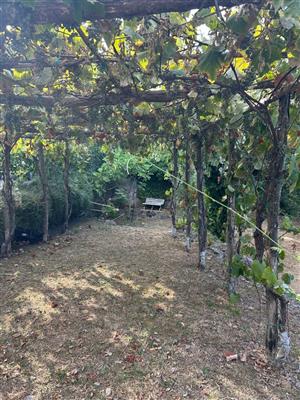 casale in vendita ad Ameglia in zona Montemarcello