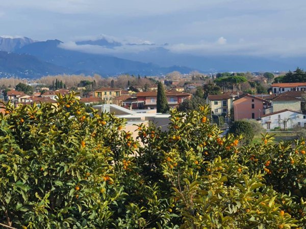 appartamento in vendita ad Ameglia in zona Bocca di Magra