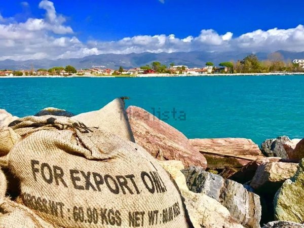 appartamento in vendita ad Ameglia in zona Bocca di Magra