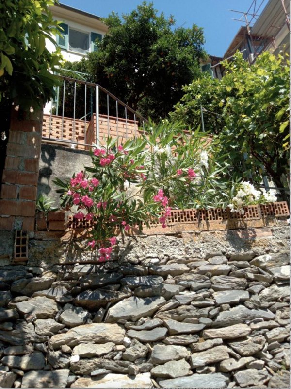 casa indipendente in vendita ad Ameglia in zona Montemarcello