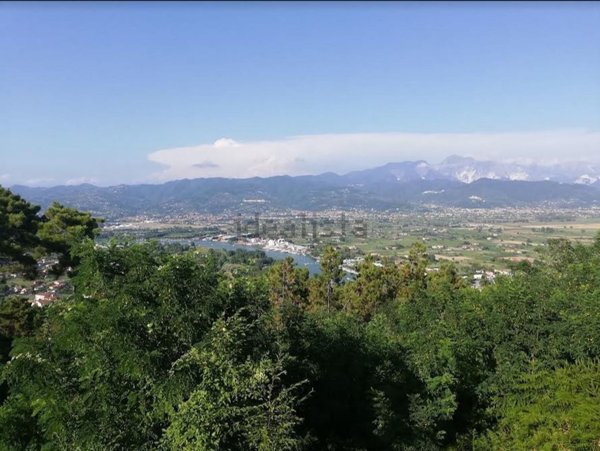 appartamento in vendita ad Ameglia in zona Montemarcello