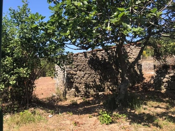 appartamento in vendita ad Ameglia