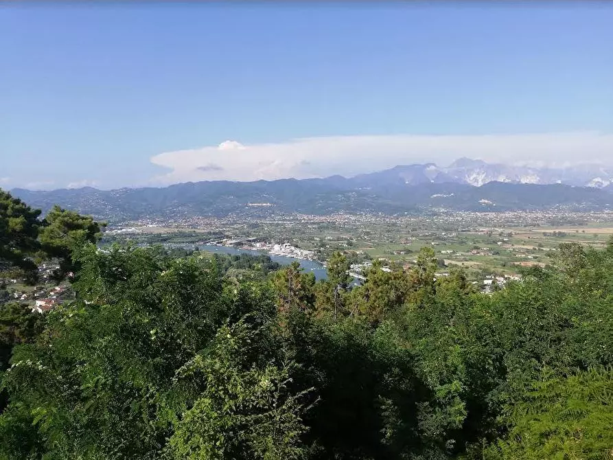 appartamento in vendita ad Ameglia in zona Montemarcello