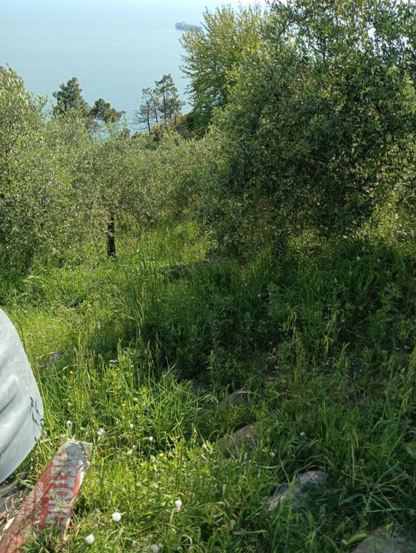 appartamento in vendita ad Ameglia in zona Montemarcello