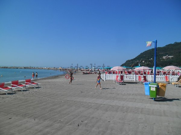 immagine annuncio 0 di 1