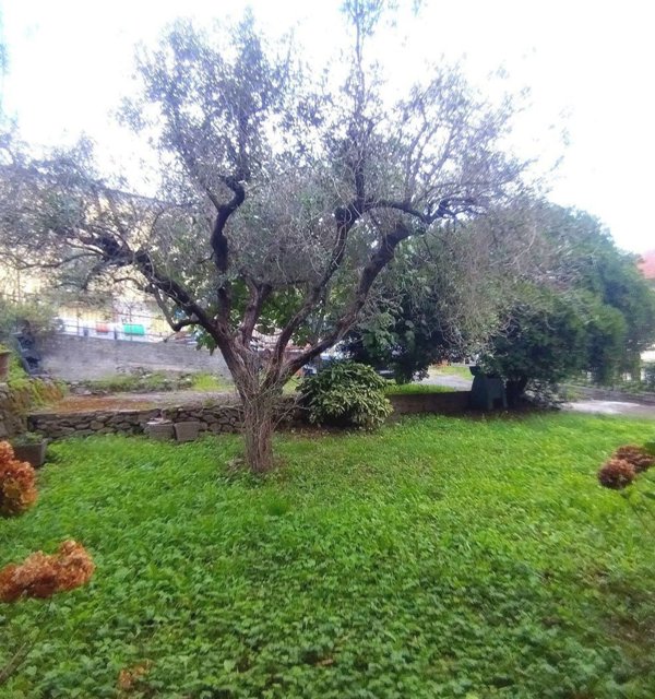 casa indipendente in vendita ad Ameglia