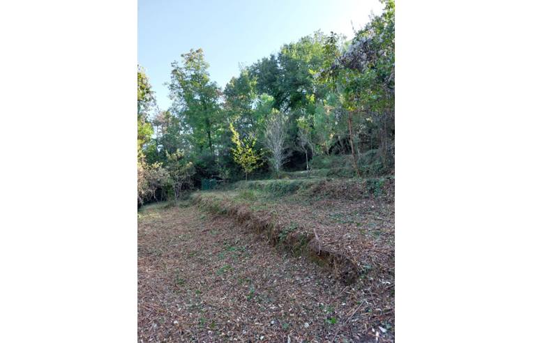 terreno agricolo in vendita ad Ameglia in zona Montemarcello