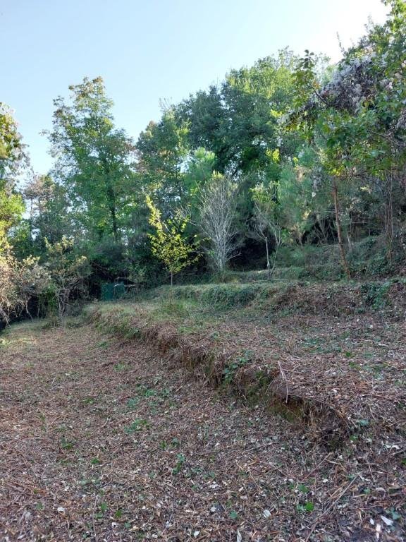 terreno agricolo in vendita ad Ameglia in zona Montemarcello
