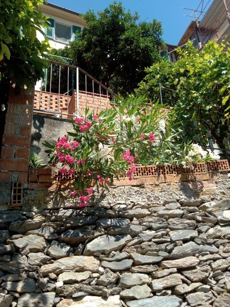 casa indipendente in vendita ad Ameglia in zona Montemarcello