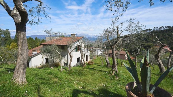casa indipendente in vendita ad Ameglia in zona Montemarcello
