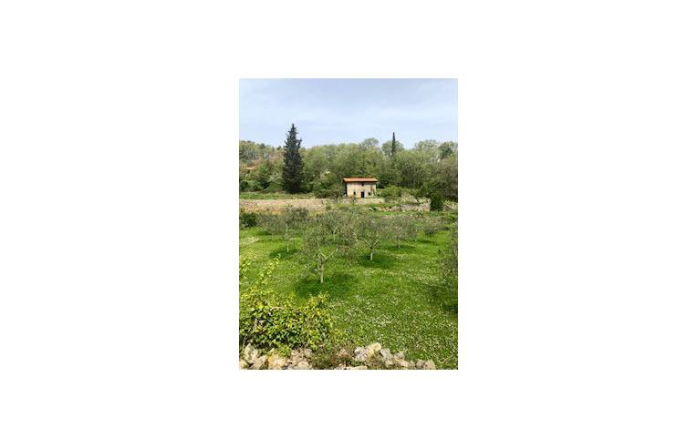 casa indipendente in vendita ad Ameglia