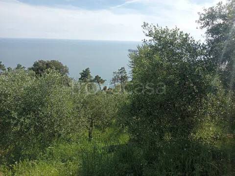 terreno agricolo in vendita ad Ameglia in zona Bocca di Magra
