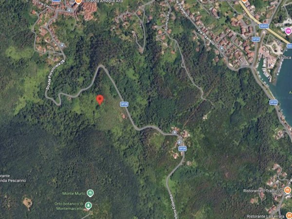 terreno agricolo in vendita ad Ameglia