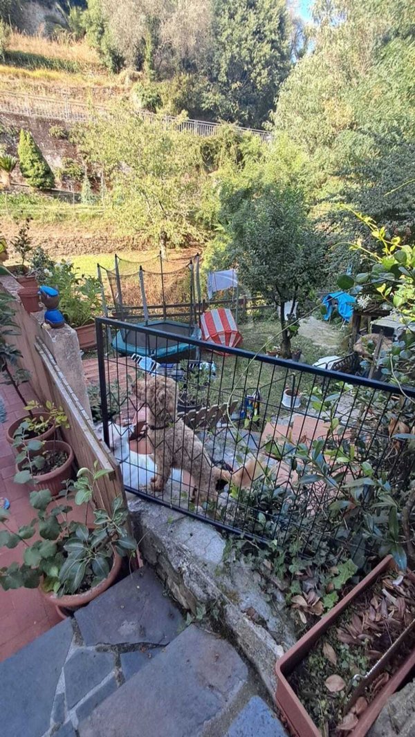 appartamento in vendita ad Ameglia