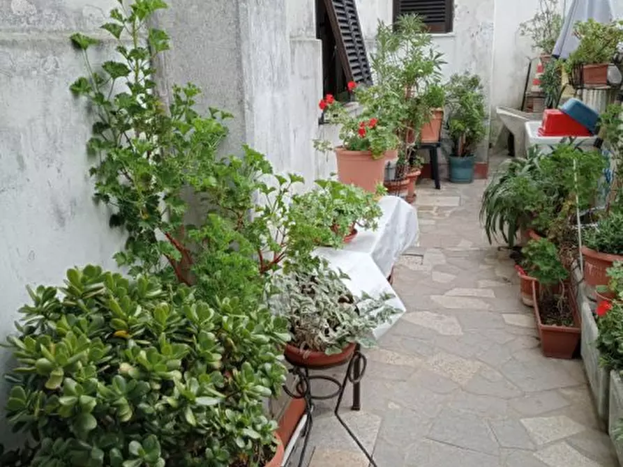 casa indipendente in vendita ad Ameglia in zona Bocca di Magra