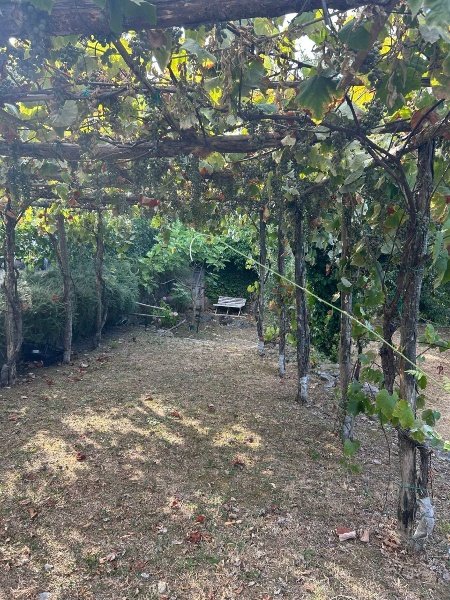 casale in vendita ad Ameglia in zona Montemarcello