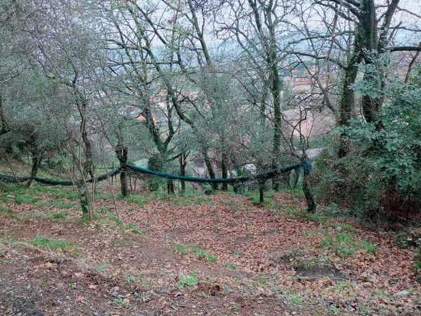 terreno in vendita ad Ameglia in zona Cafaggio