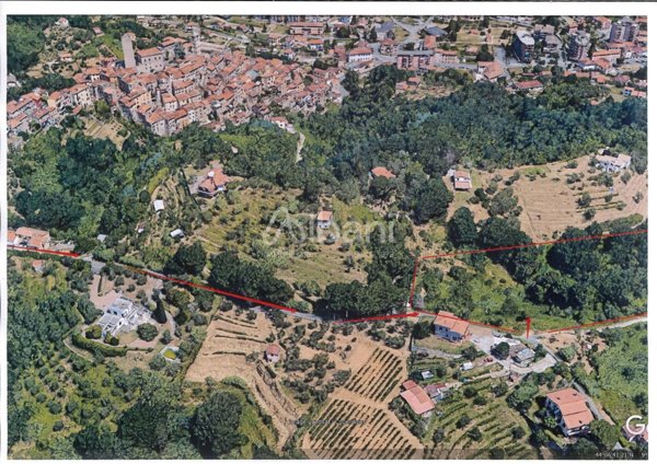 terreno agricolo in vendita ad Arcola