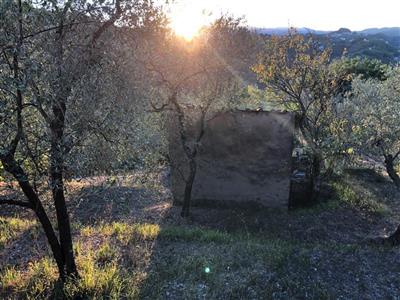 villetta a schiera in vendita ad Arcola in zona Trebiano