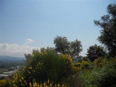 terreno edificabile in vendita ad Arcola