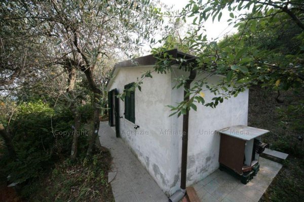 terreno agricolo in vendita ad Arcola