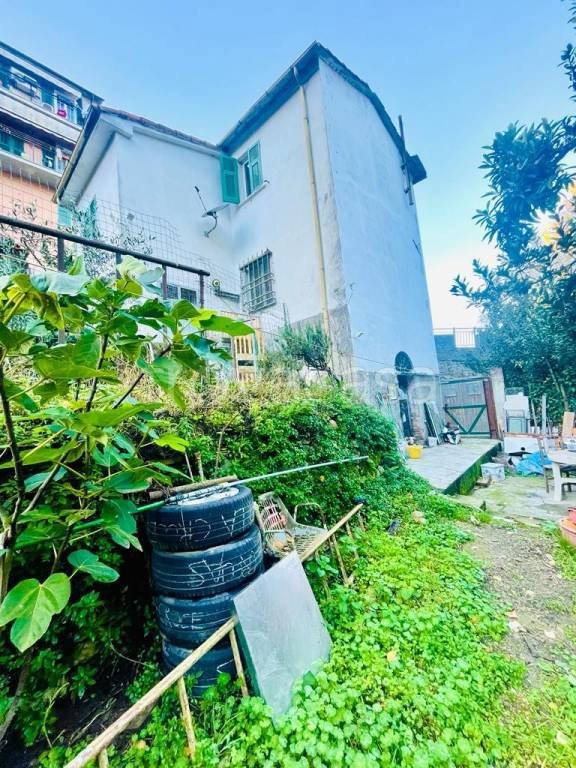 casa indipendente in vendita ad Arcola