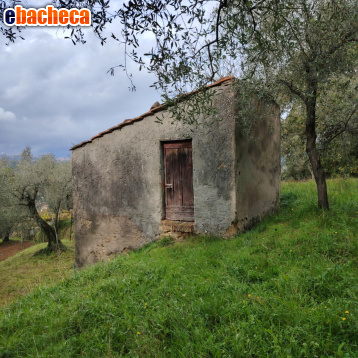 casa indipendente in vendita ad Arcola in zona Trebiano