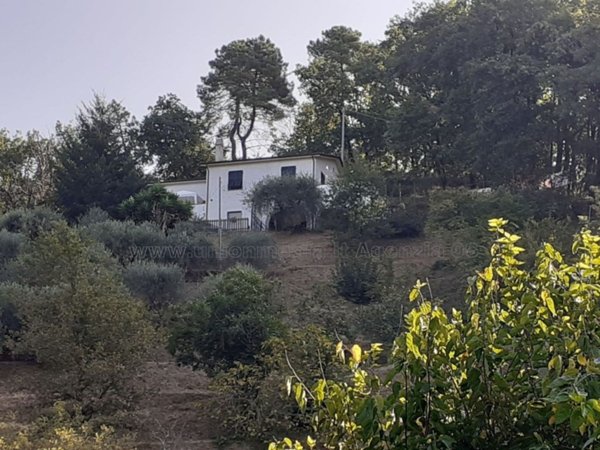 casa indipendente in vendita ad Arcola