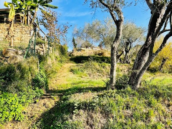 terreno agricolo in vendita ad Arcola