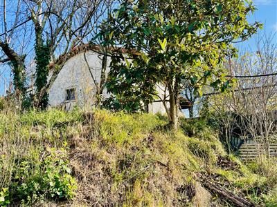 terreno agricolo in vendita ad Arcola