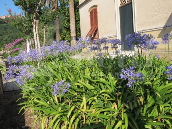 casa indipendente in vendita ad Arcola