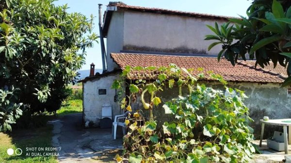terreno agricolo in vendita ad Arcola