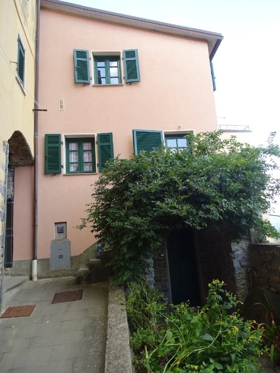 casa semindipendente in vendita ad Arcola in zona Trebiano