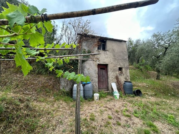 terreno agricolo in vendita ad Arcola in zona Trebiano